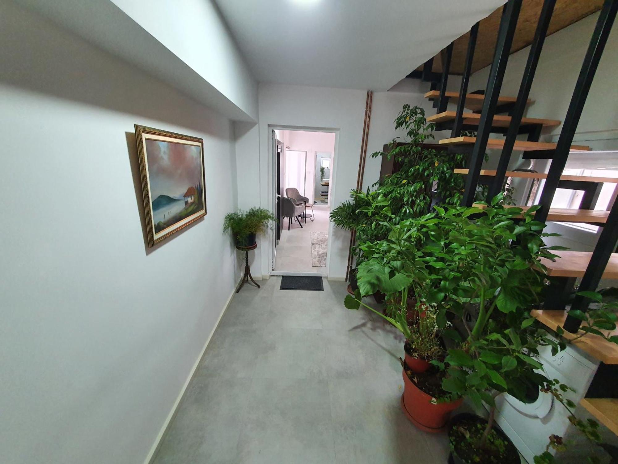 Luxor Apartmani 2 Vrnjačka Banja Cameră foto